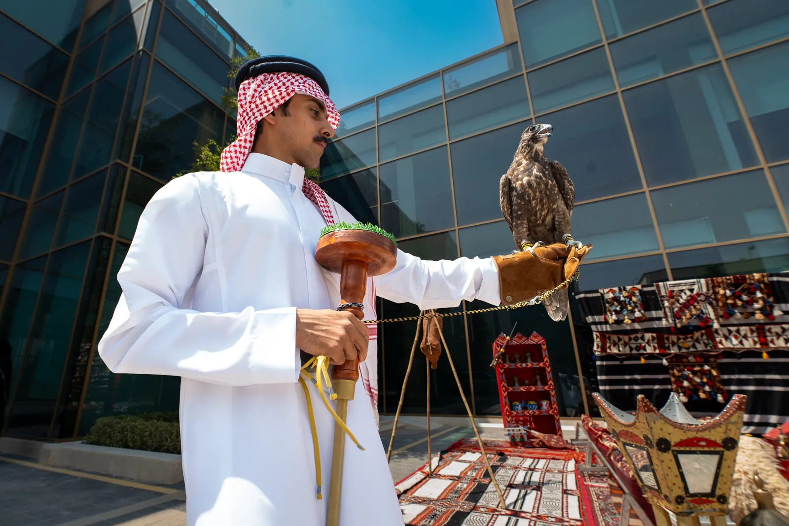 Falconer in thobe with falcon before the Waha heritage majlis